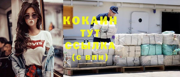 прущие грибы Володарск